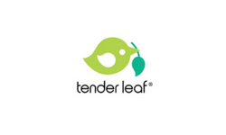 Tender Leaf Toys